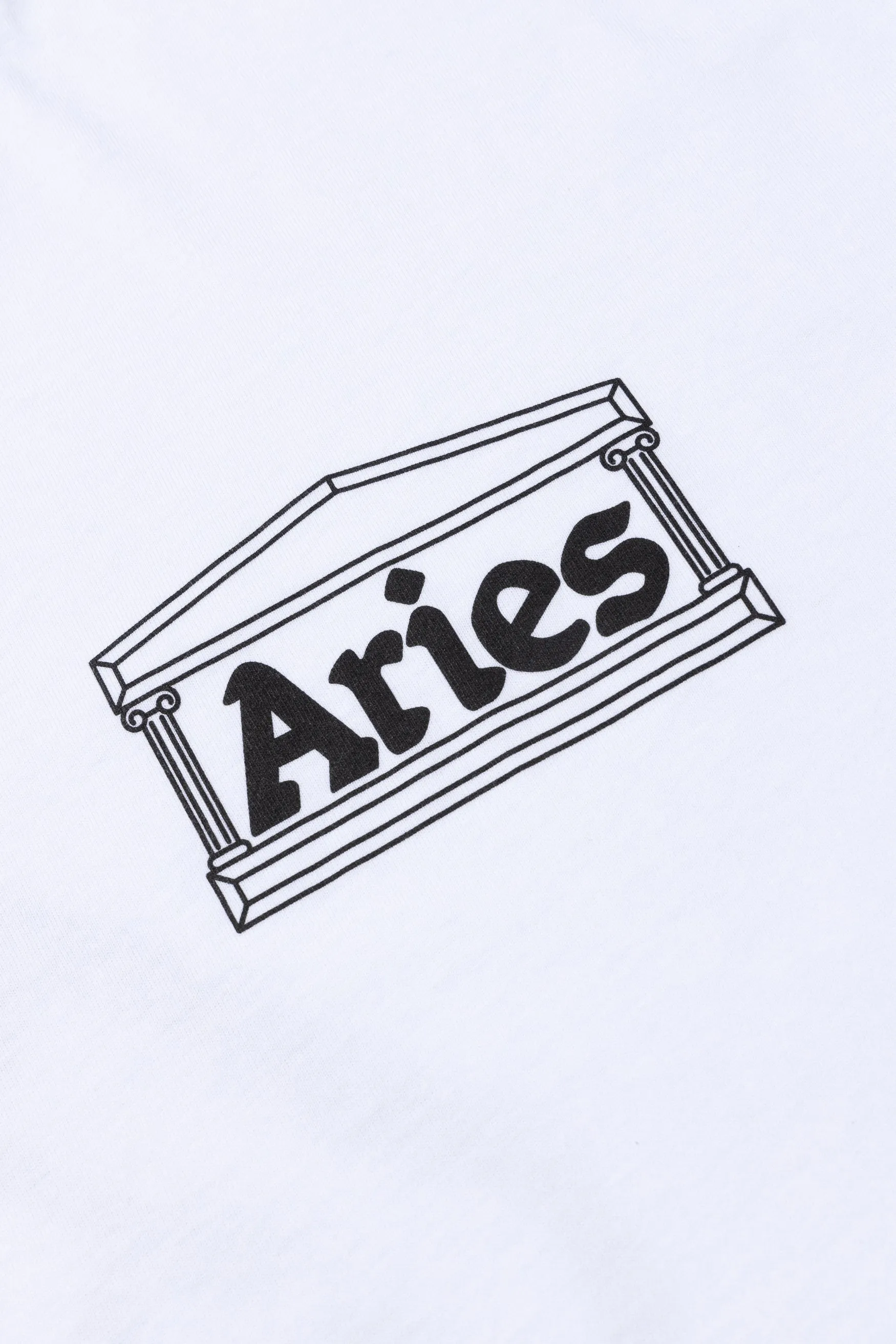 Age Of Aries Longsleeve Tee