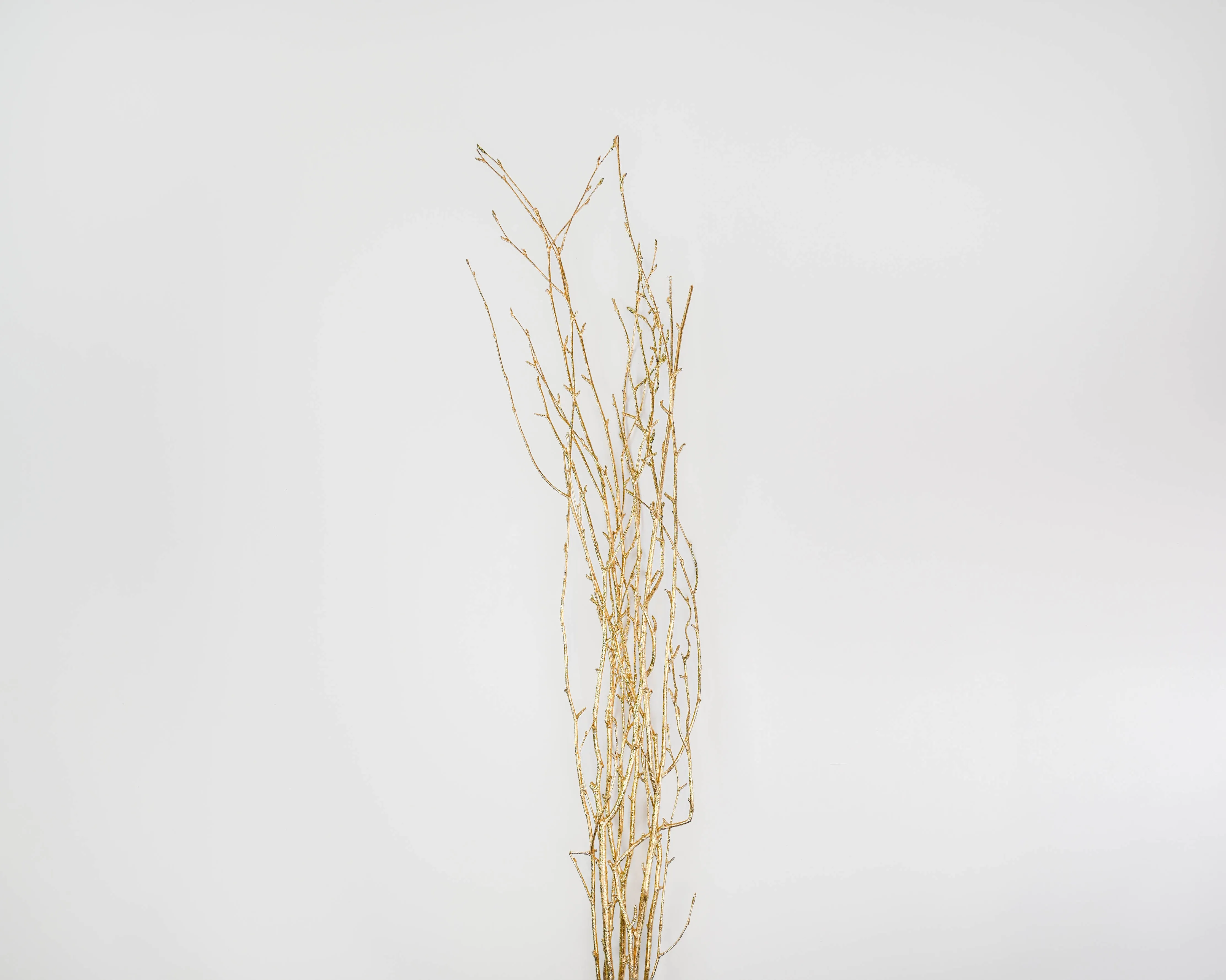 Gold Painted Birch Branches