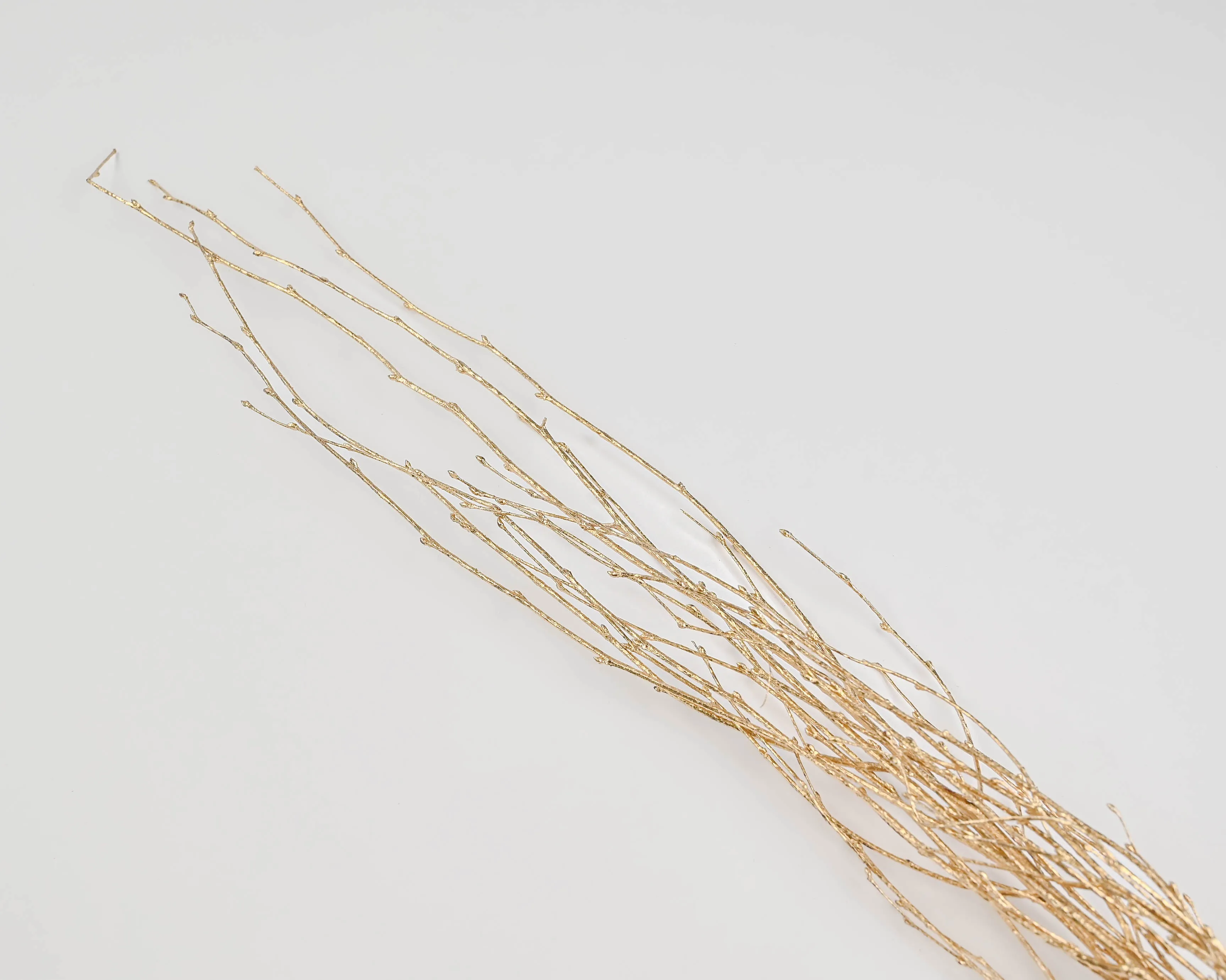 Gold Painted Birch Branches