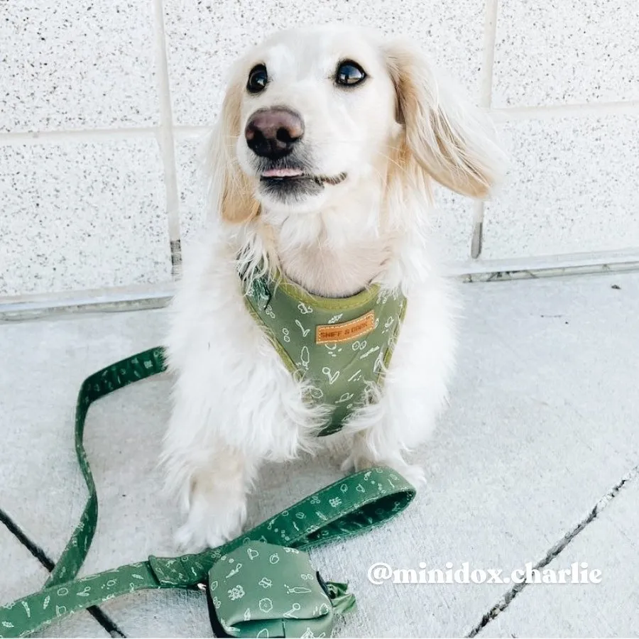 Playground Unbreakable Leash™   Poop Bag Set