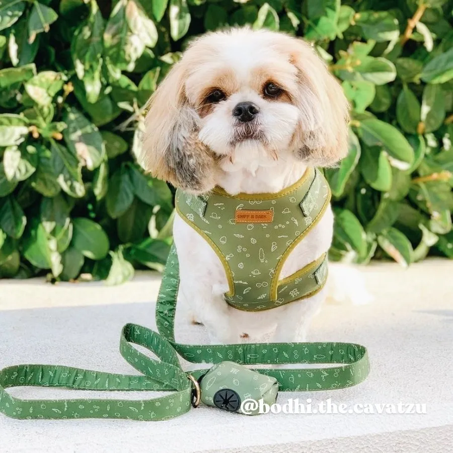 Playground Unbreakable Leash™   Poop Bag Set