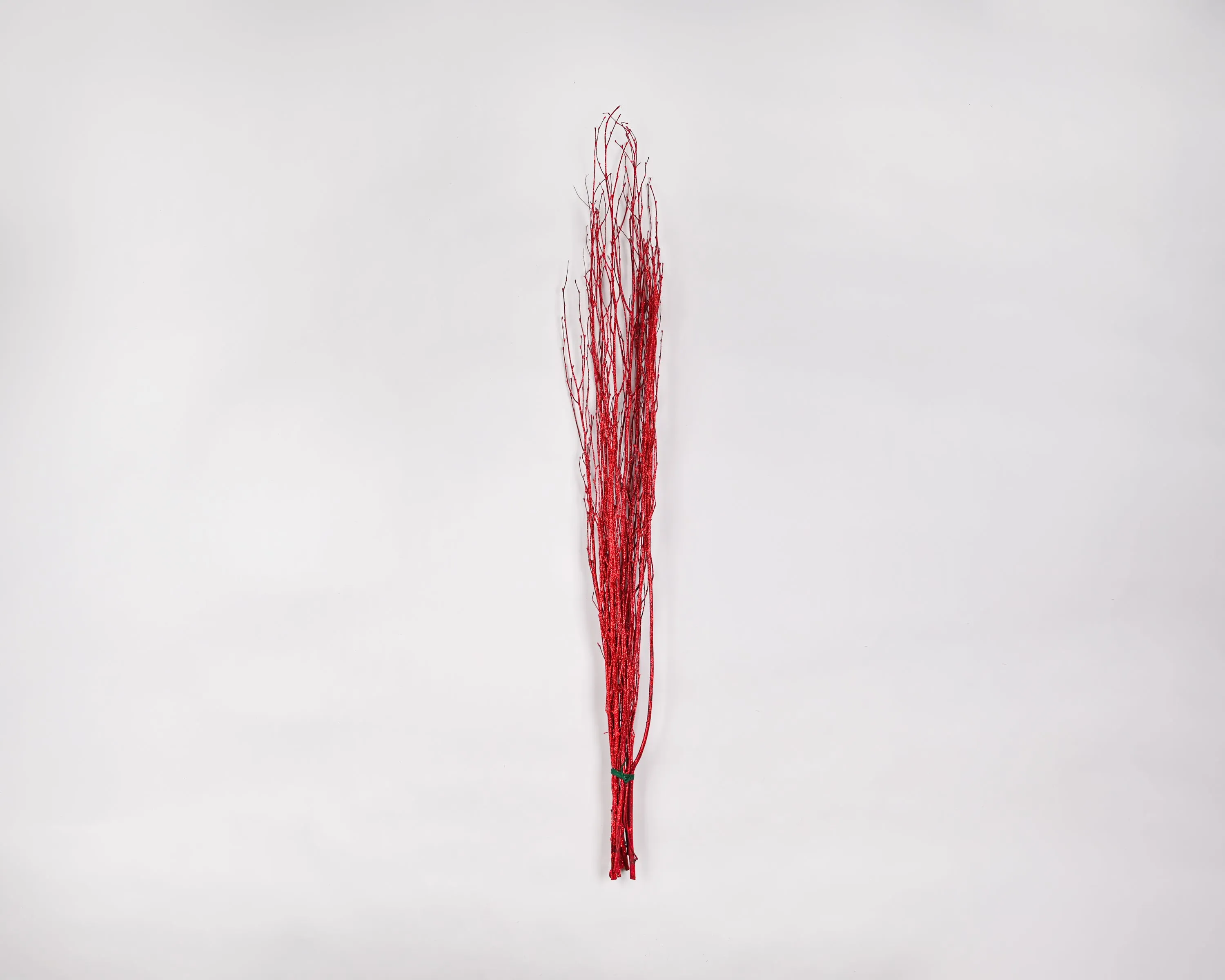 Red Glittered Birch Branches