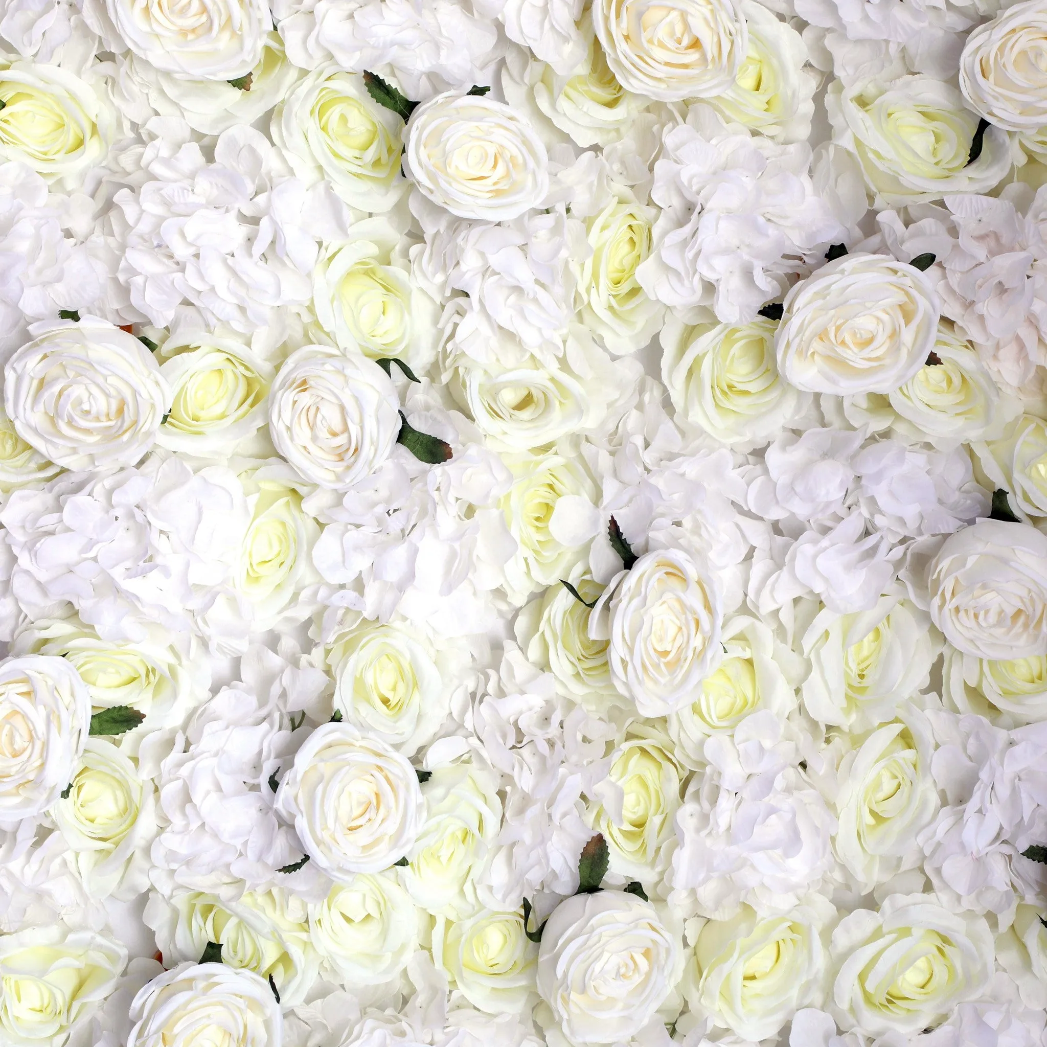 Roll Up Flower Wall Backdrop 8ft x 4ft - Ivory
