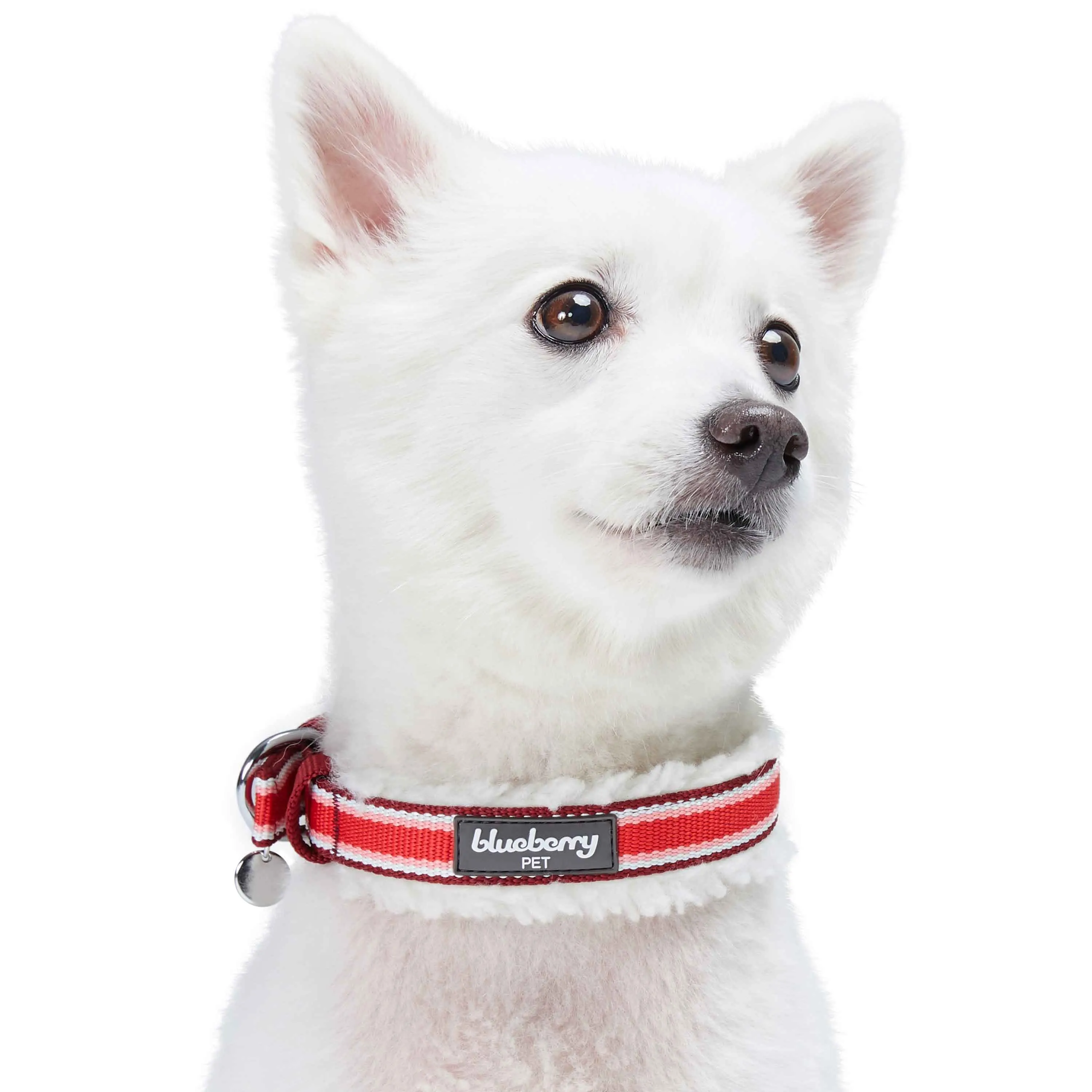 Sherpa Fleece Padded Dog Collar in Multi-color Stripes