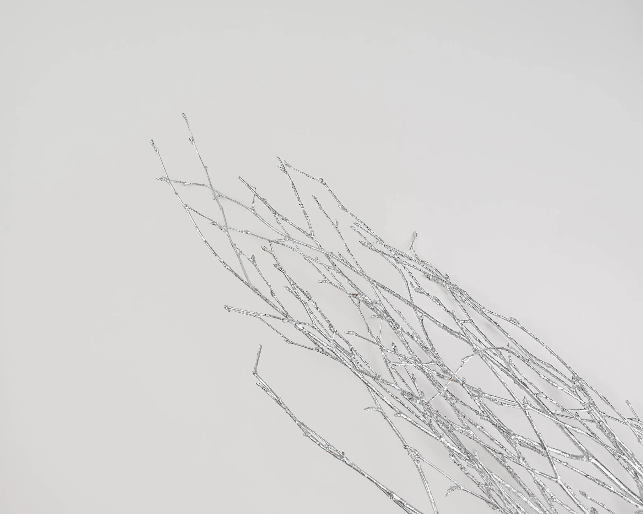 Silver Glittered Birch Branches