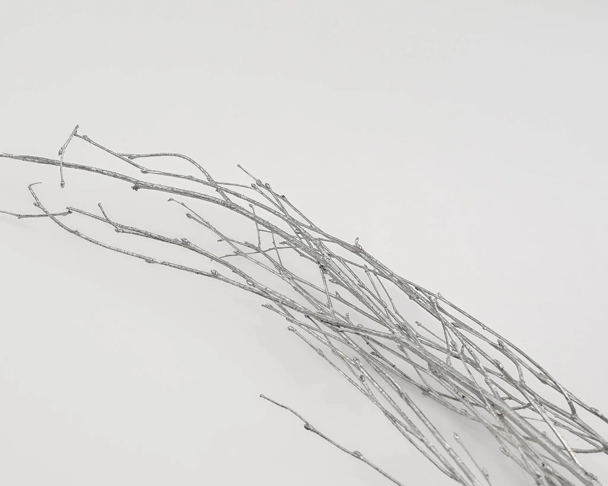 Silver Painted Birch Branches