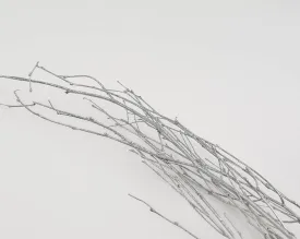 Silver Painted Birch Branches