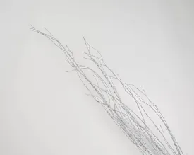 White Glittered Birch Branches