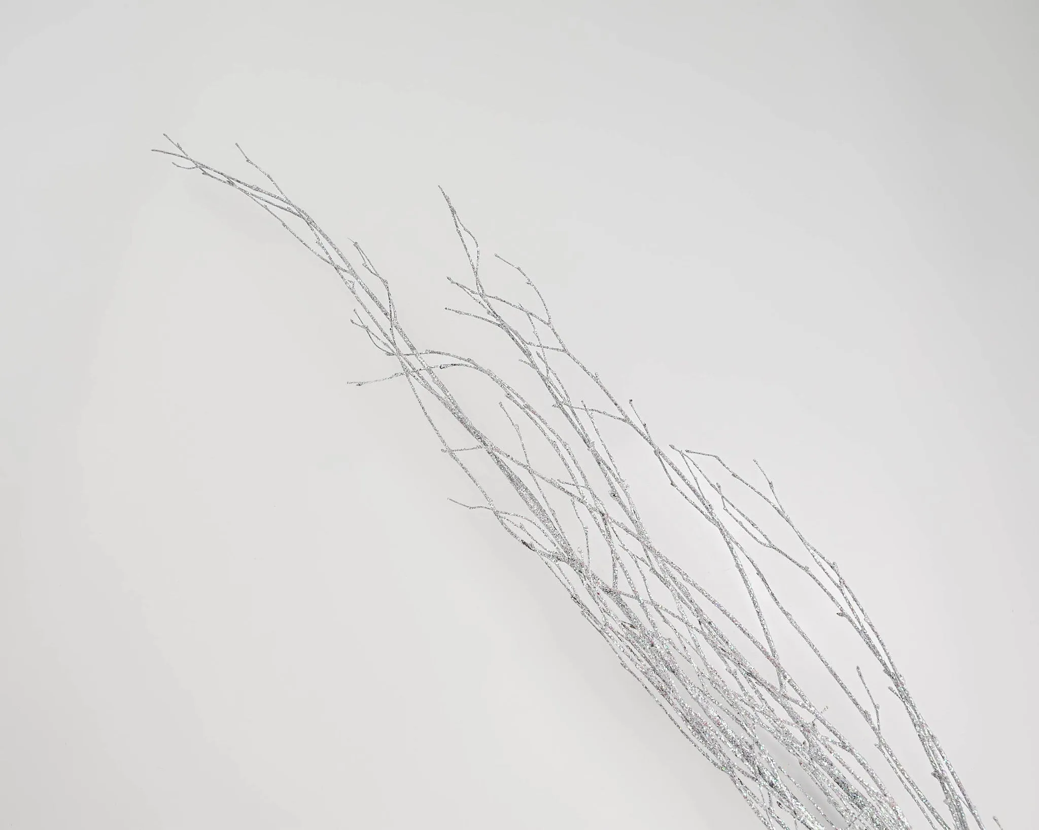 White Glittered Birch Branches