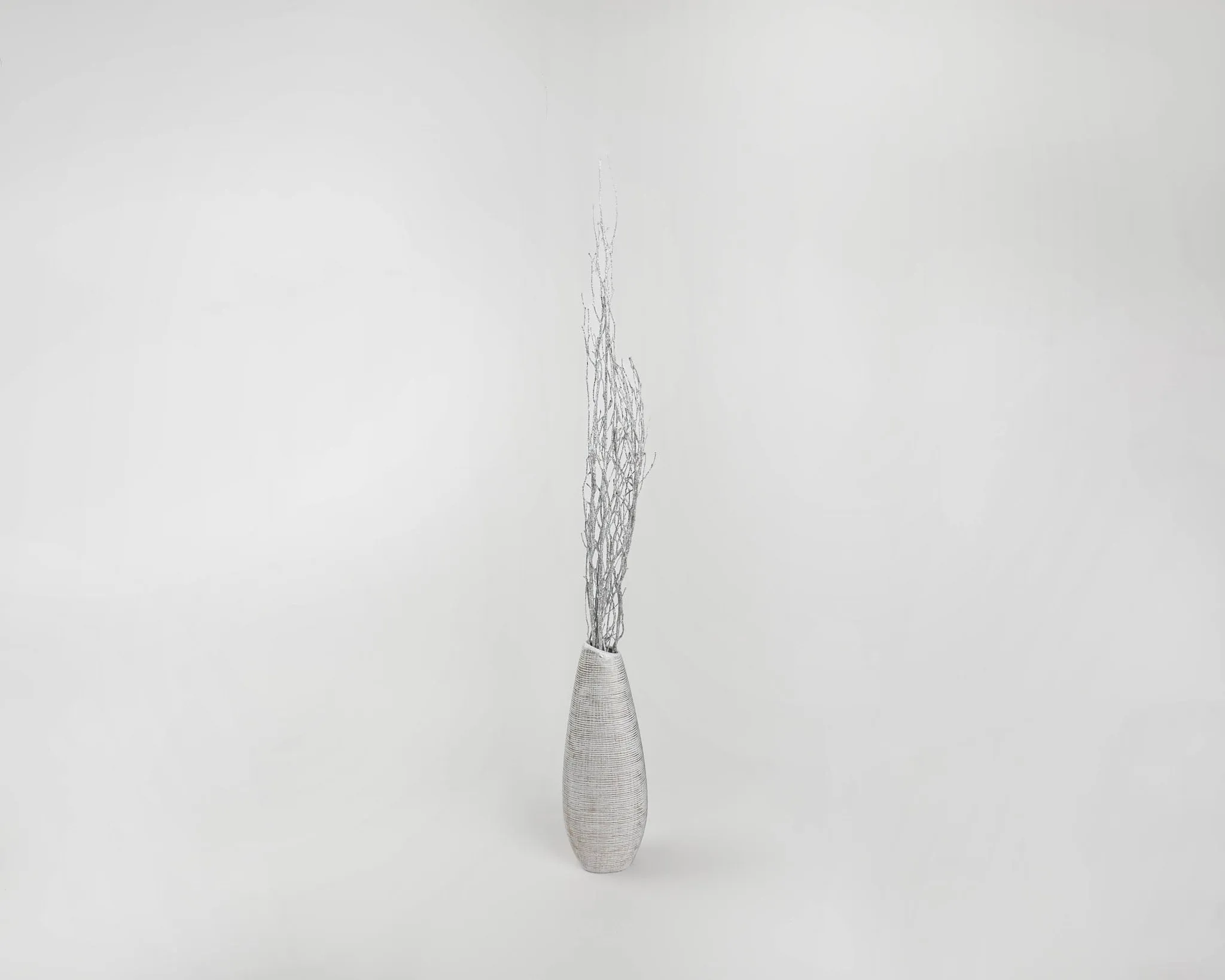 White Glittered Birch Branches