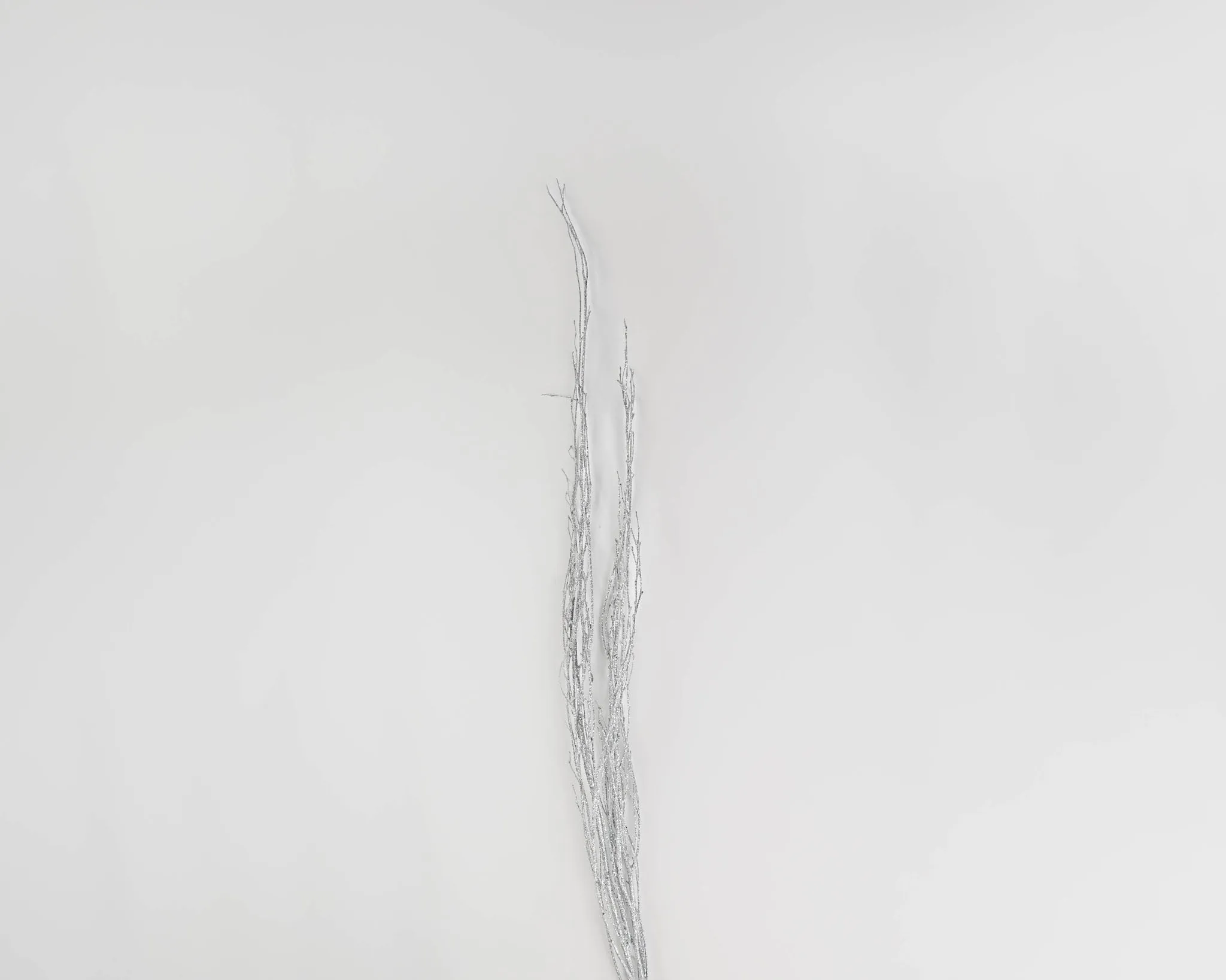 White Glittered Birch Branches